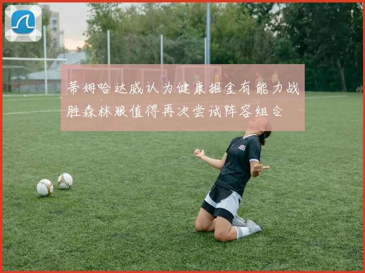 蒂姆哈达威认为健康掘金有能力战胜森林狼值得再次尝试阵容组合