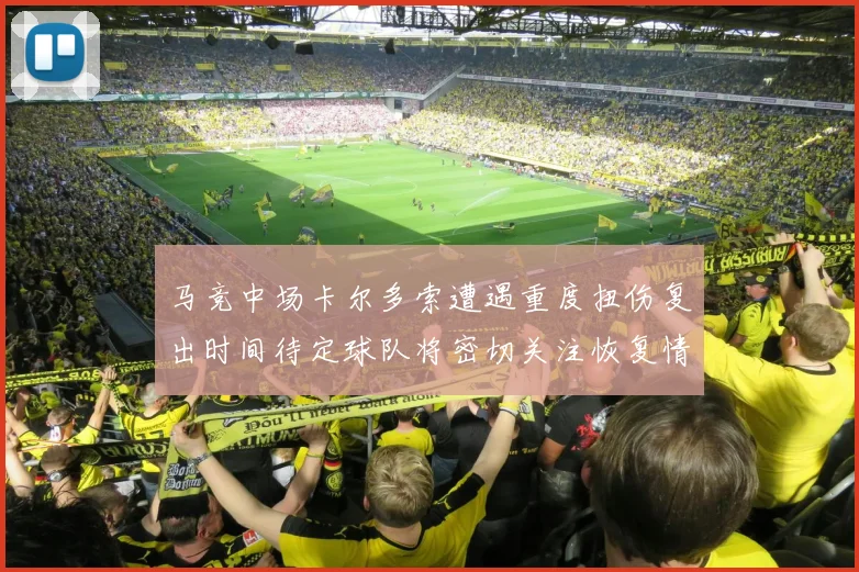 马竞中场卡尔多索遭遇重度扭伤复出时间待定球队将密切关注恢复情况